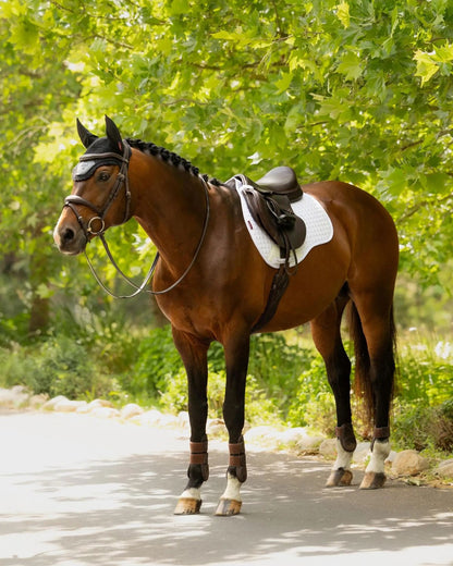 LeMieux Cotton GP Square (updated) White | Equiflair