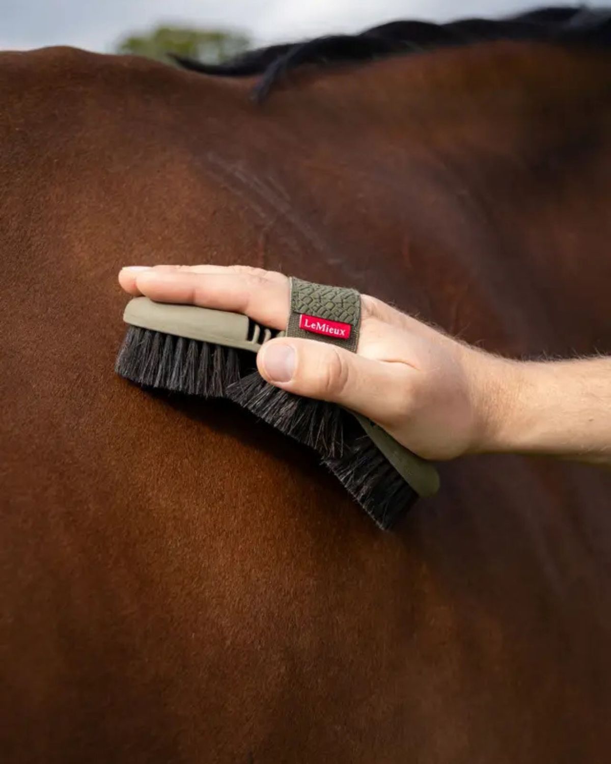 LeMieux Flexi Horse Hair Body Brush Alpine: Horse grooming brush for cleaning coat and removing dust, dirt.