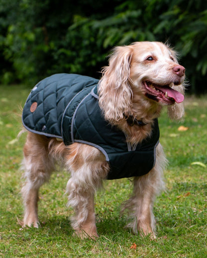 Ancol Heritage Quilted Dog Coat Green