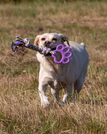Ancol Playtime Ropey Paw Dog Toy