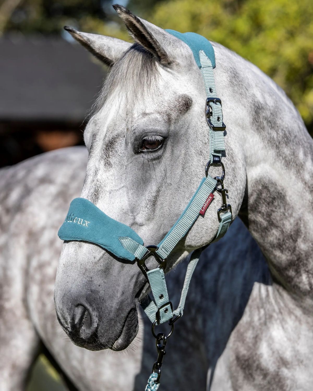LeMieux Vogue Headcollar & Leadrope Sage