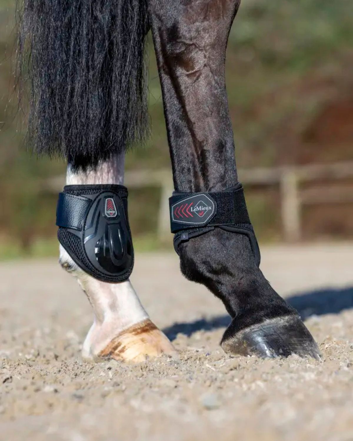 LeMieux Derby ProJump Fetlock Boot Black