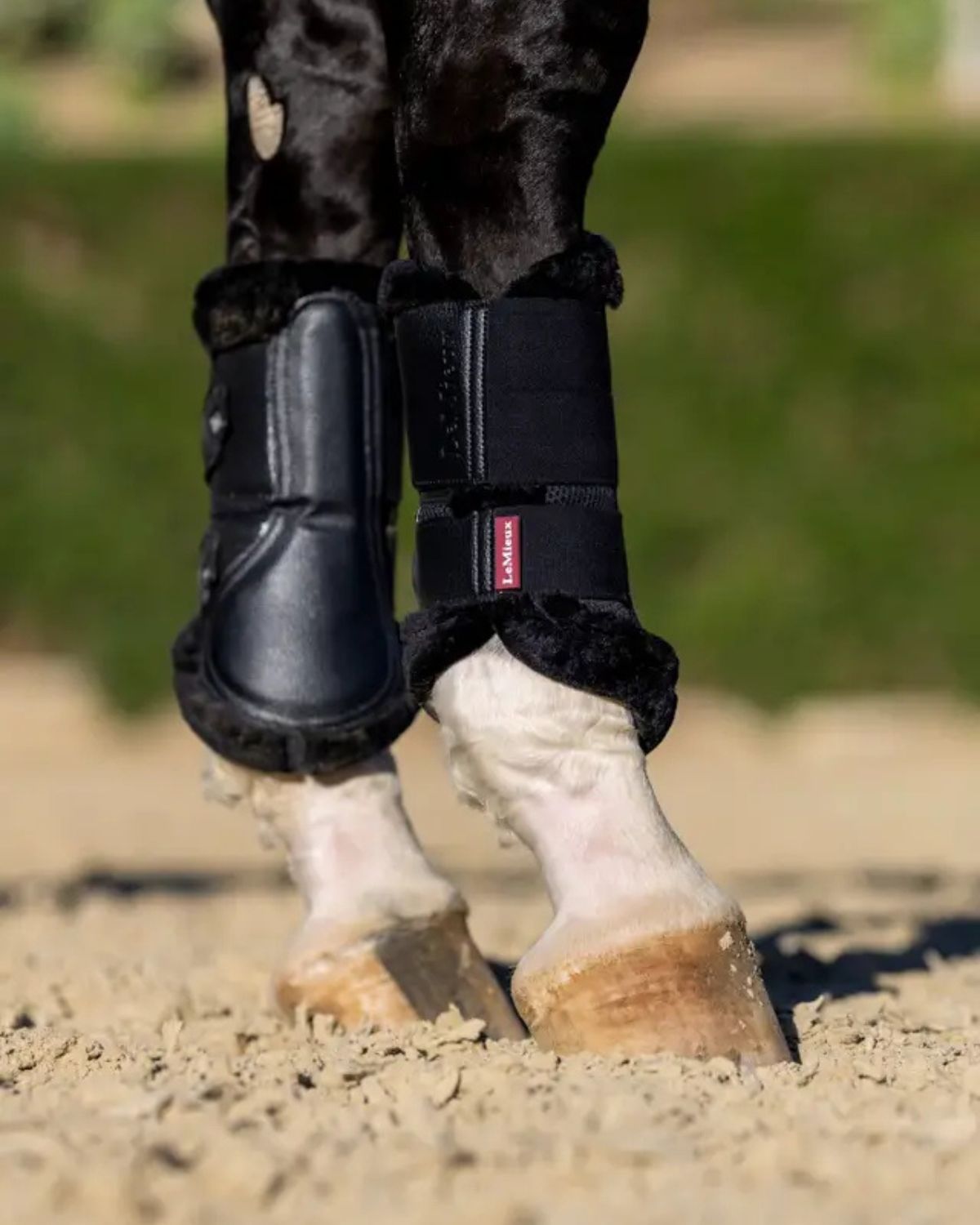 LeMieux Fleece Edged Mesh Brushing Boots Black