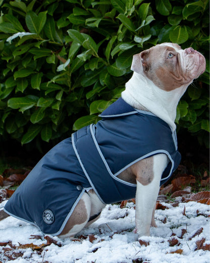 Ancol Stormguard Dog Coat Navy