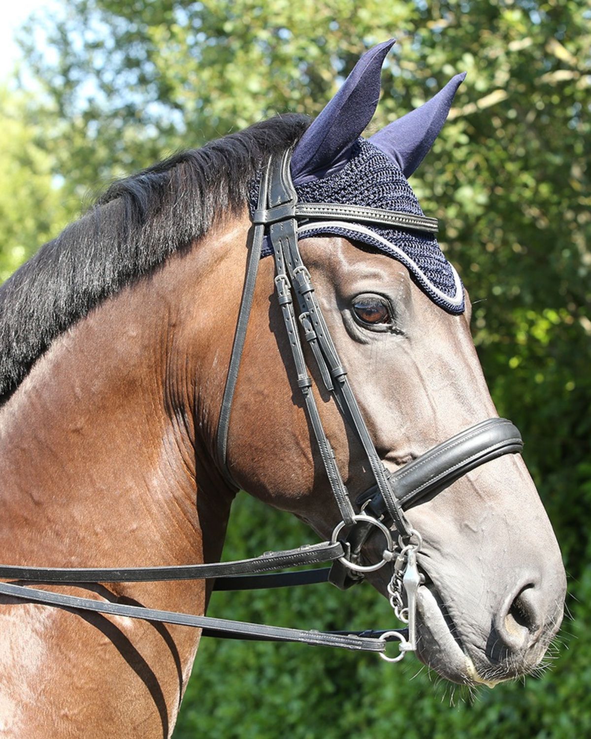 Horse wearing a KM ELITE navy fly veil with silver trim. Equine ear net for fly protection. #horseflyveil #equestrian #equiflair