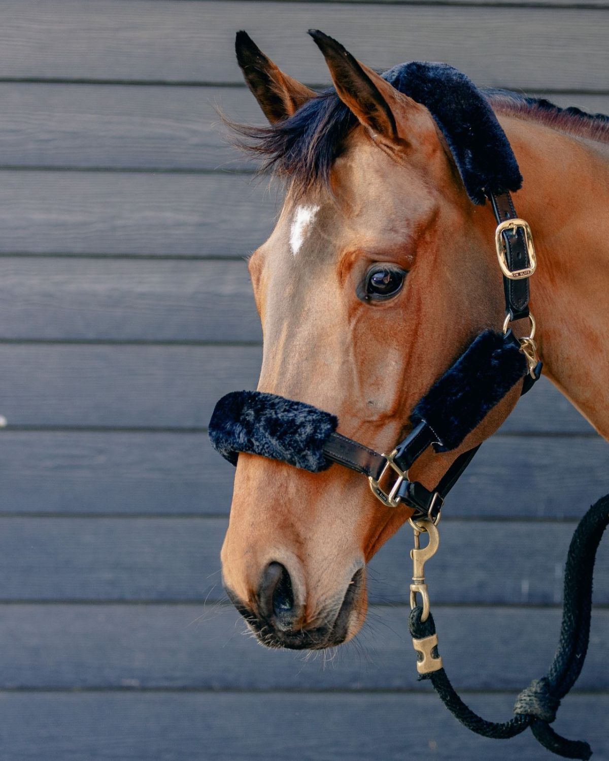 KM Elite Teddy Soft Headstall Set Black