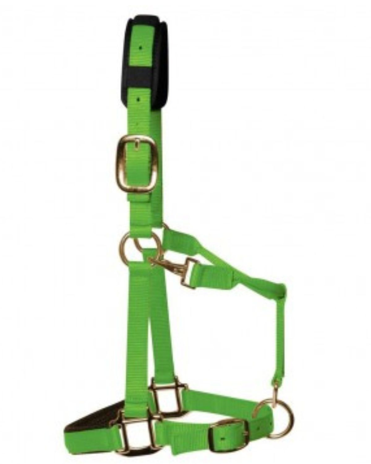 KM Elite Padded Headcollar Hot Green