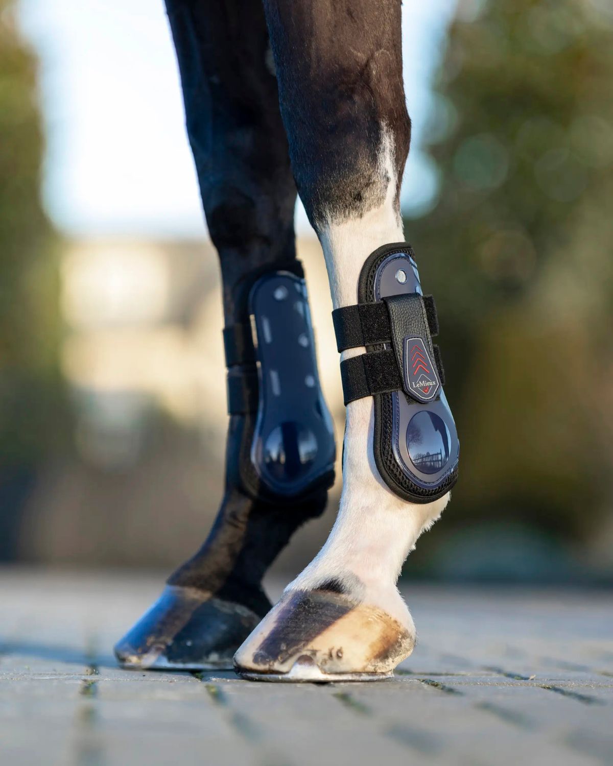 LeMieux Derby ProJump Tendon Boot Navy