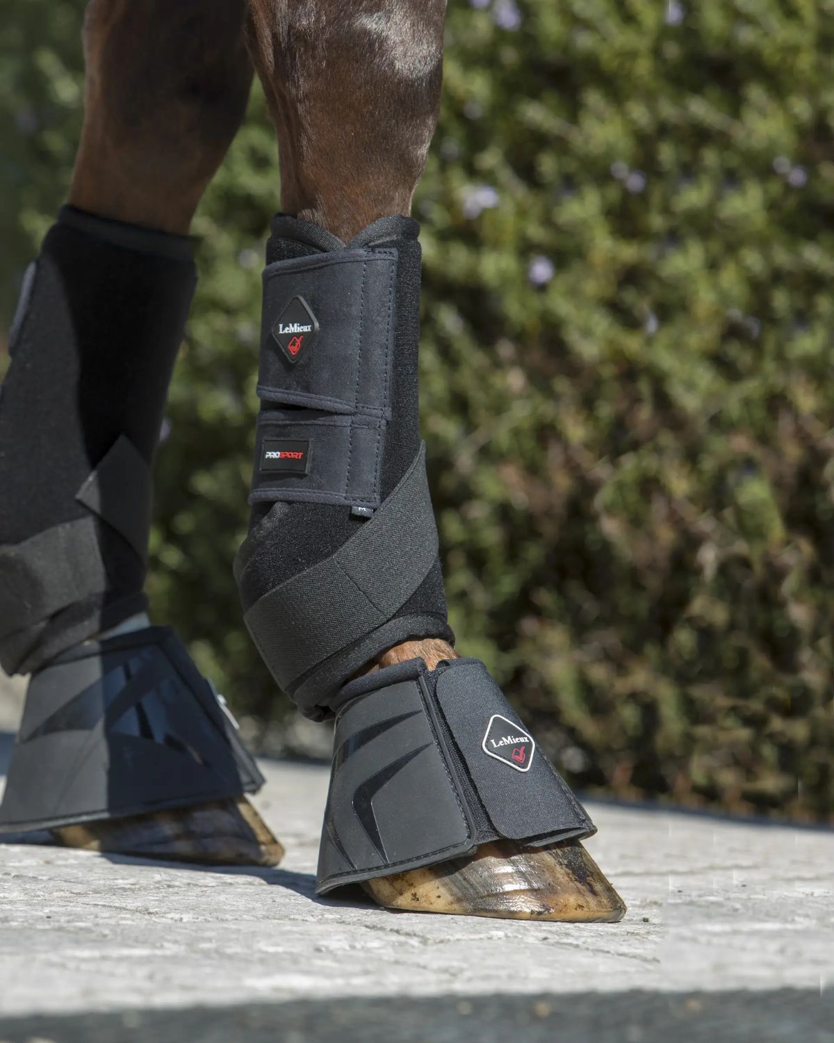 LeMieux Ultra Support Boots in Black on Horse Leg - Equine Leg Protection