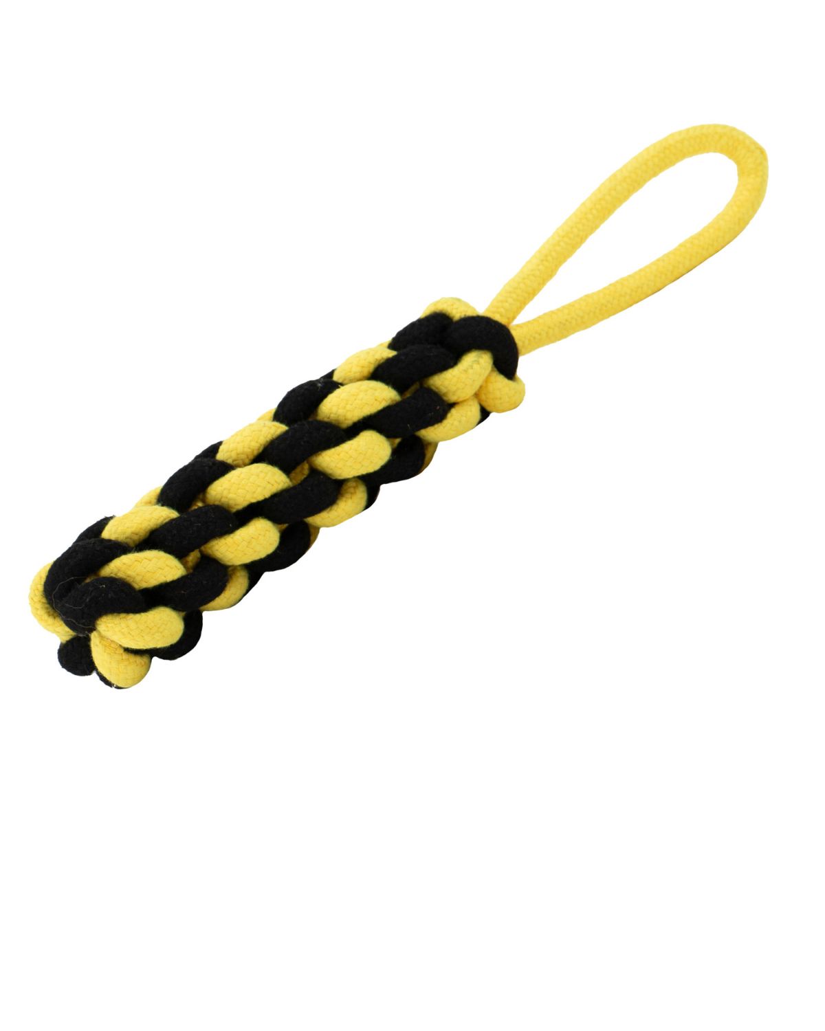 Ancol Playtime Bumble Bee Ropey Plait Dog Toy