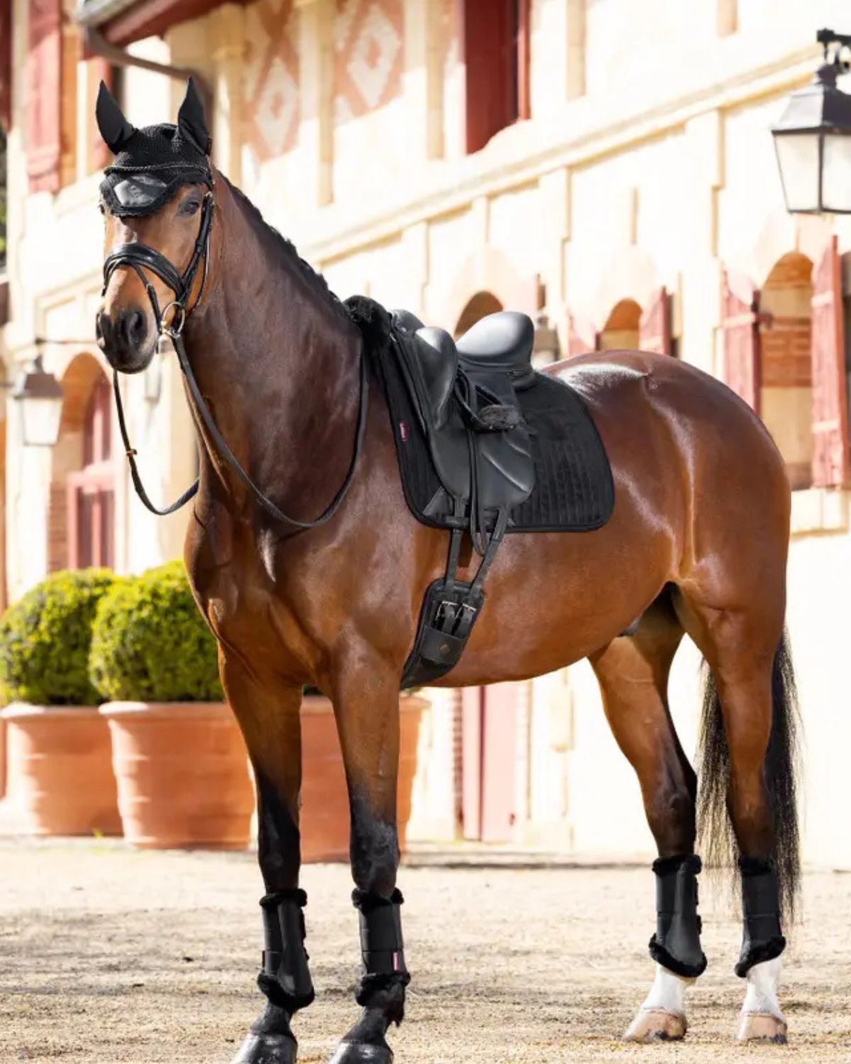 LeMieux Merino+ Half Lined Suede Dressage Square Black/Black