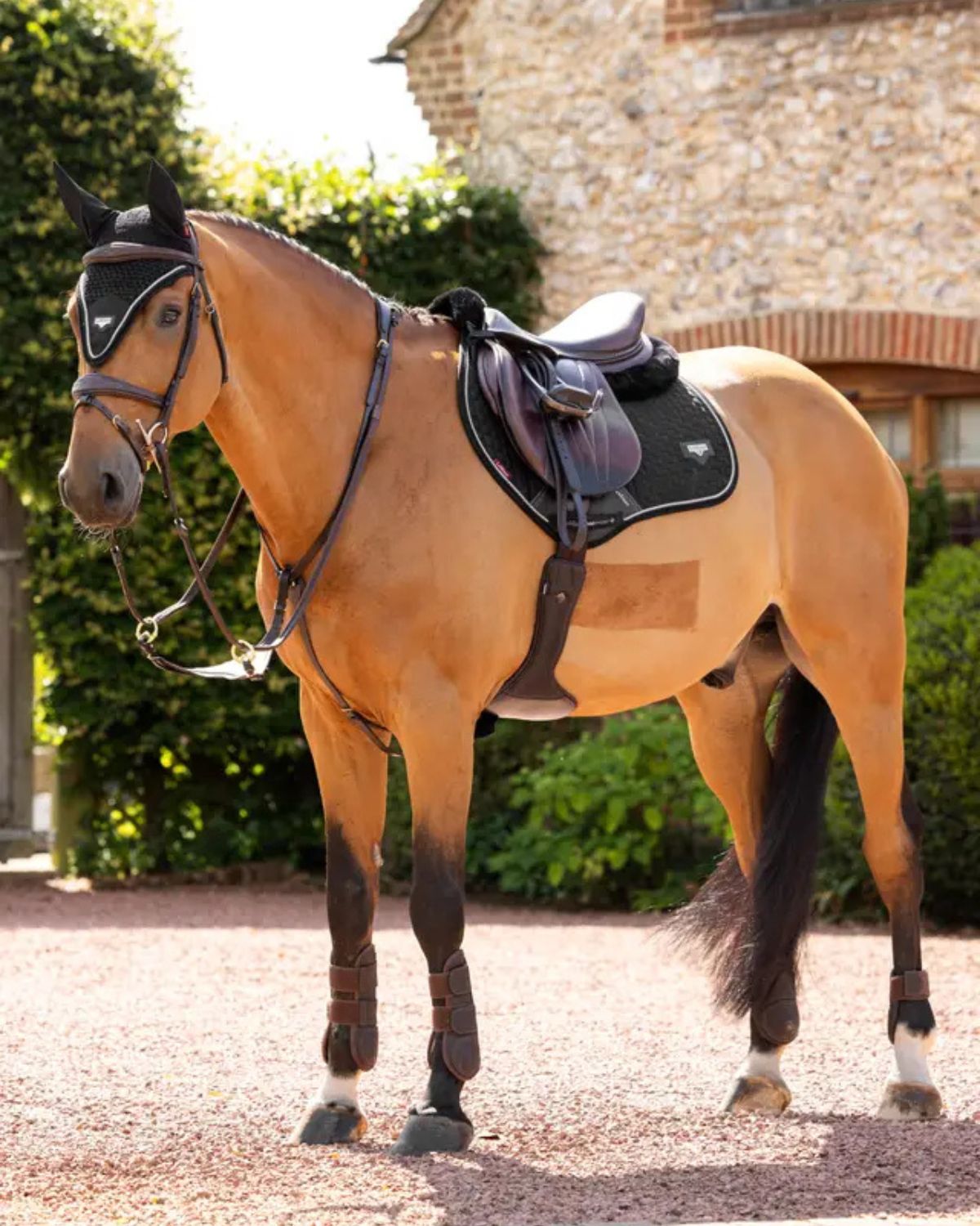LEMIEUX Black Suede Close Contact Horse Saddle Pad - Equiflair Equestrian