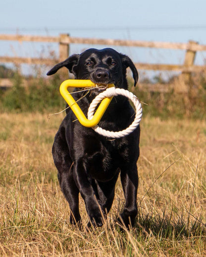 Ancol Playtime Natural Ropey Triangle Yellow Dog Toy