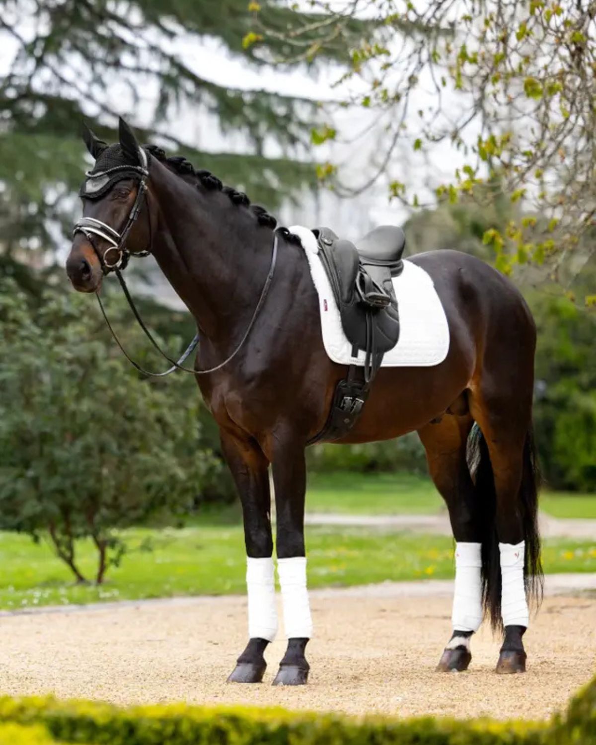 LeMieux Merino+ Half Lined Suede Dressage Square White/White