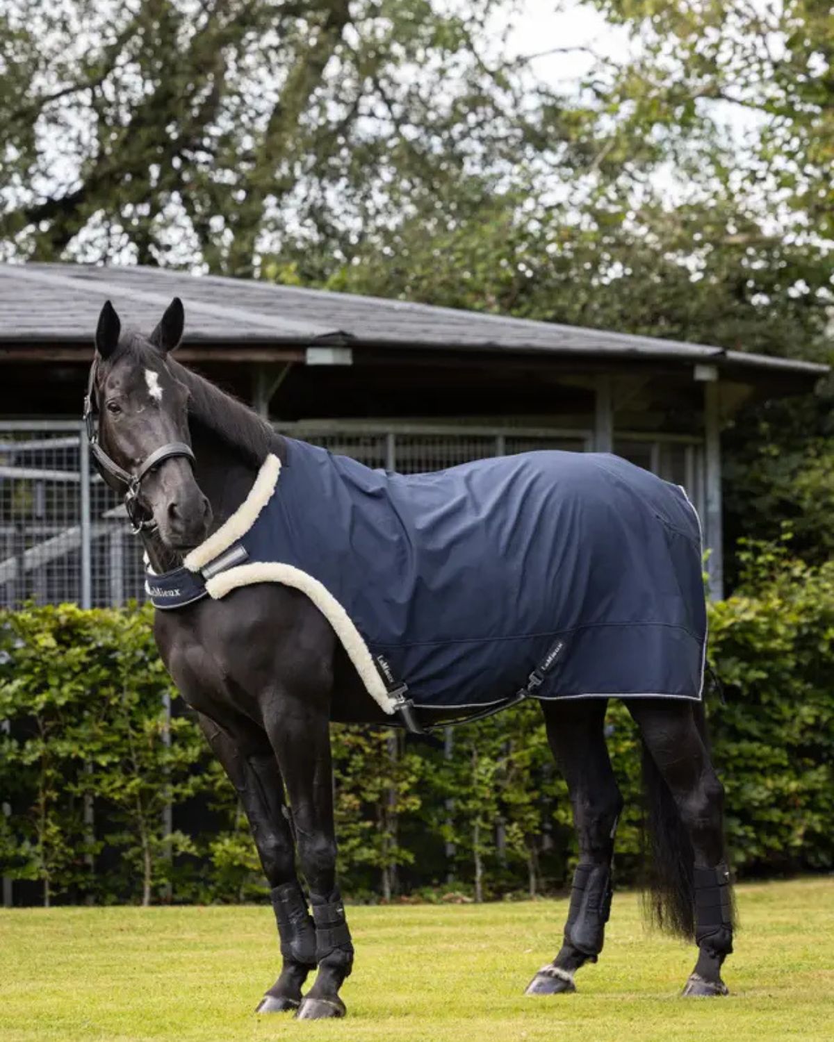 LeMieux Walker Rug Navy for Horses | Water-Resistant & Breathable | Equiflair