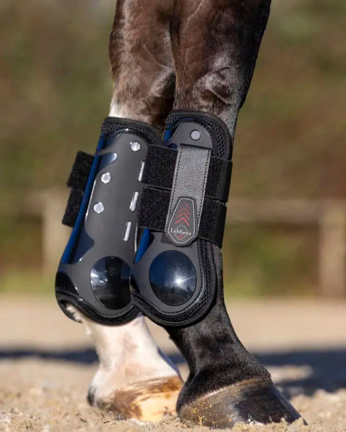 LeMieux Derby ProJump Tendon Boot Black