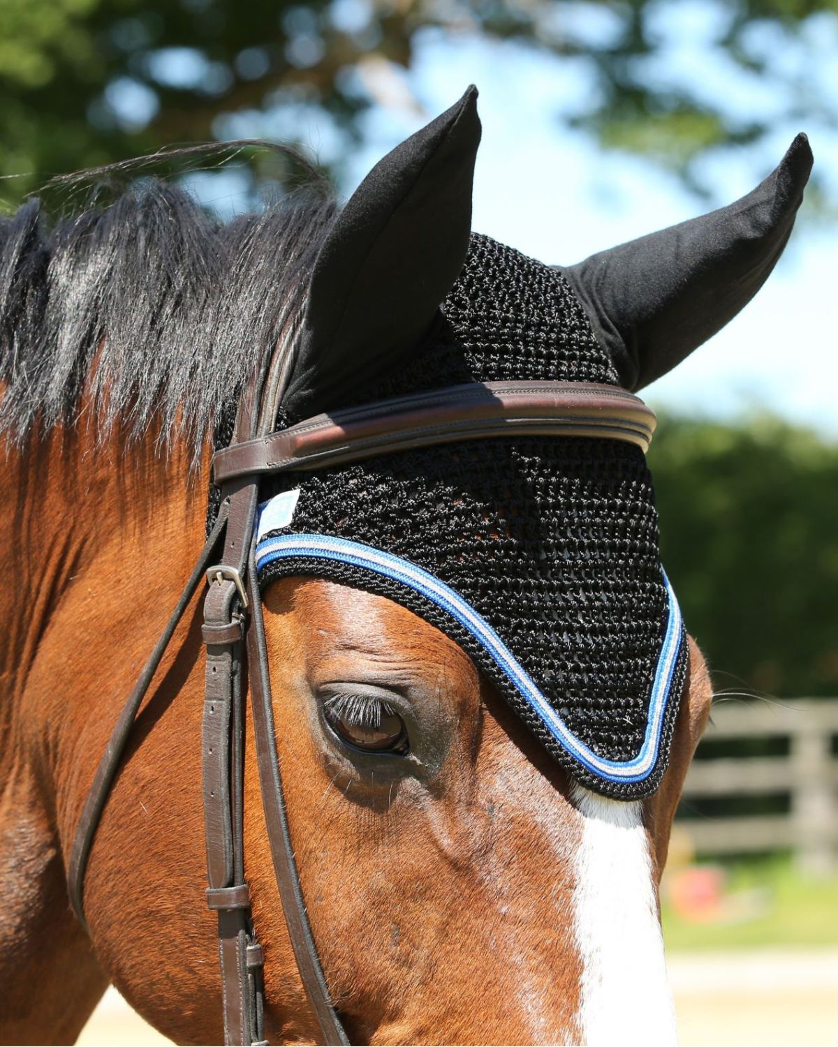 KM Elite Fly Veil Black/Purple Trim