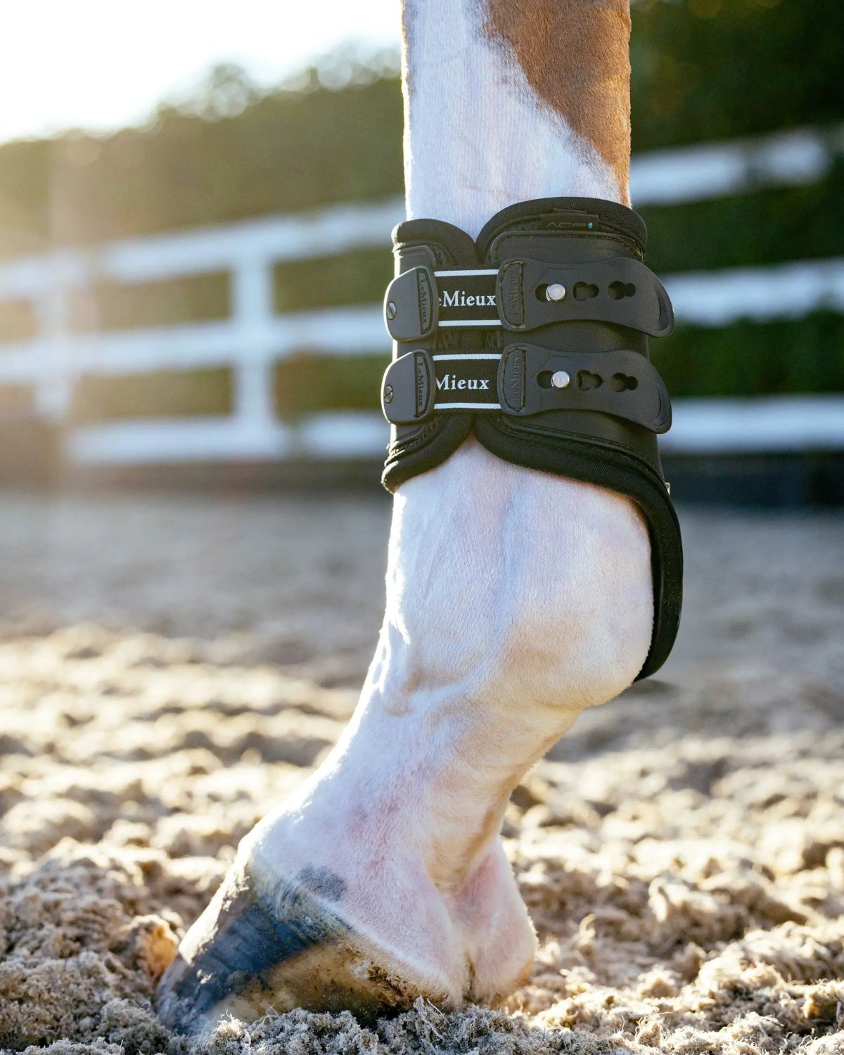 LeMieux Exo-Flex® Fetlock Boot Black/Silver