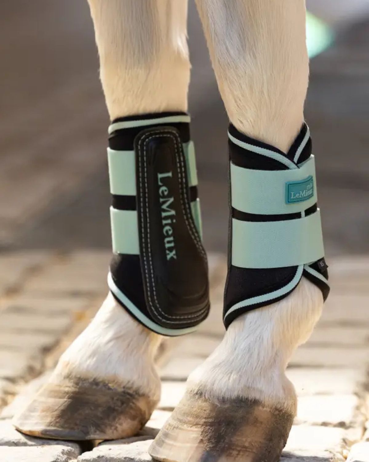 LeMieux Mini Brushing Boots Aqua