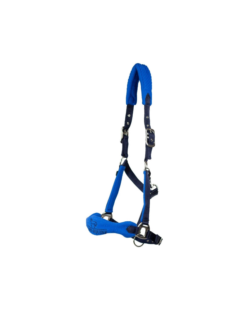 CAMEO Elite Horse Headcollar - Navy & Royal Blue - Equiflair Padded Comfort