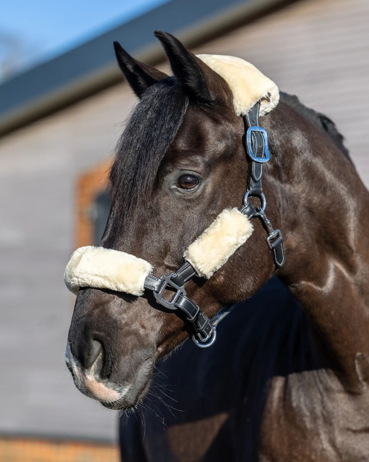 LeMieux Simuwool Headcollar Set Natural