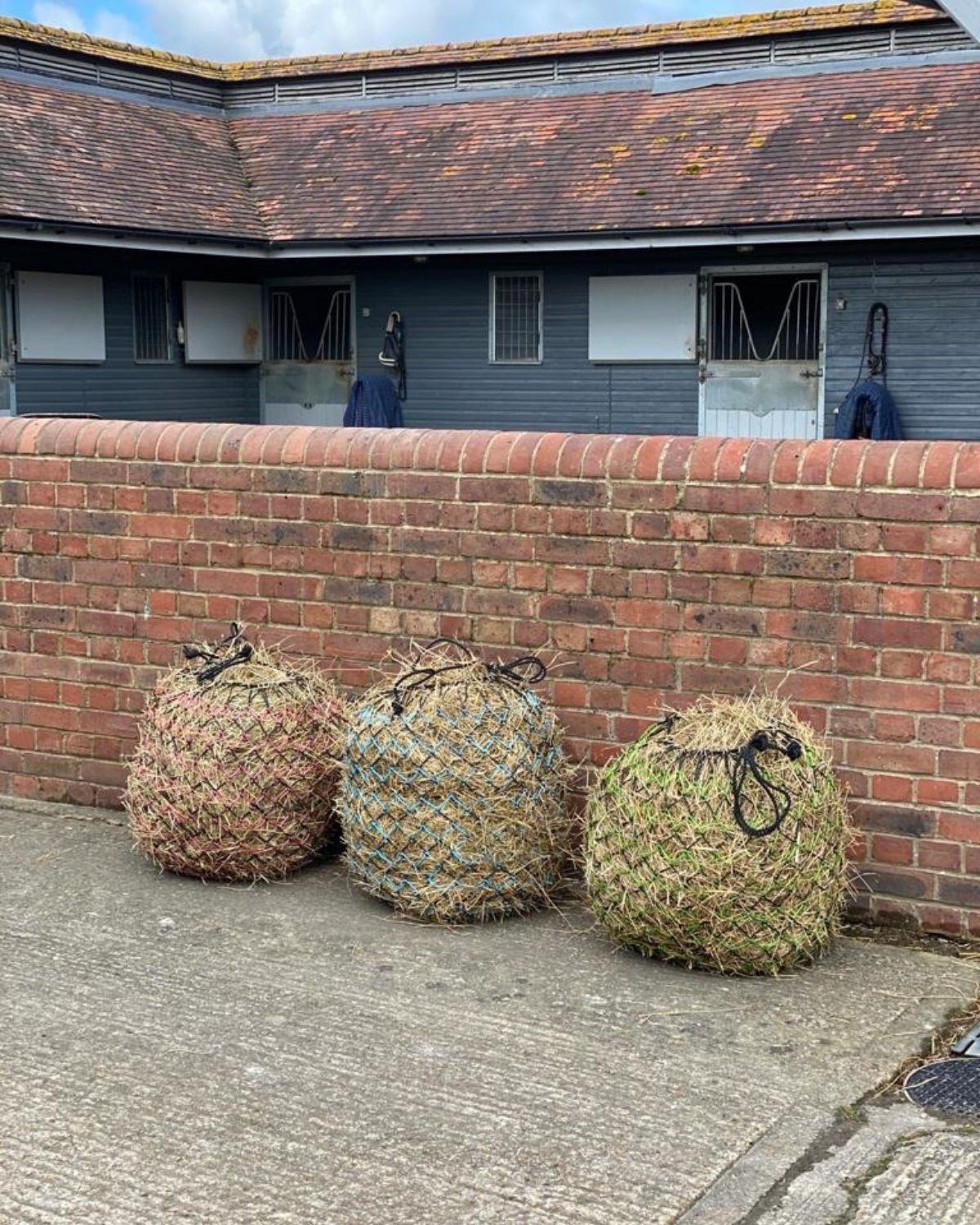 Colorful horse hay nets (KM Elite Deluxe) in front of stable block. Equiflair.