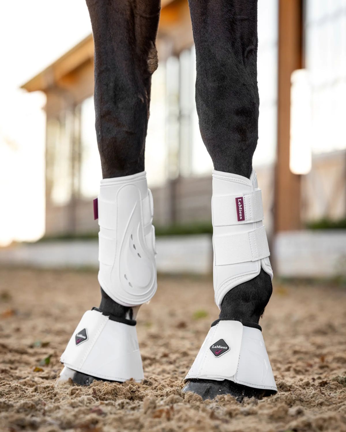LEMIEUX PROSHELL BRUSHING BOOTS WHITE: Horse Leg Protection Boots, Equestrian Equipment, White