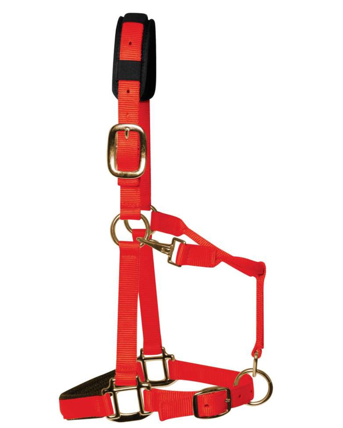 KM Elite Padded Headcollar Red