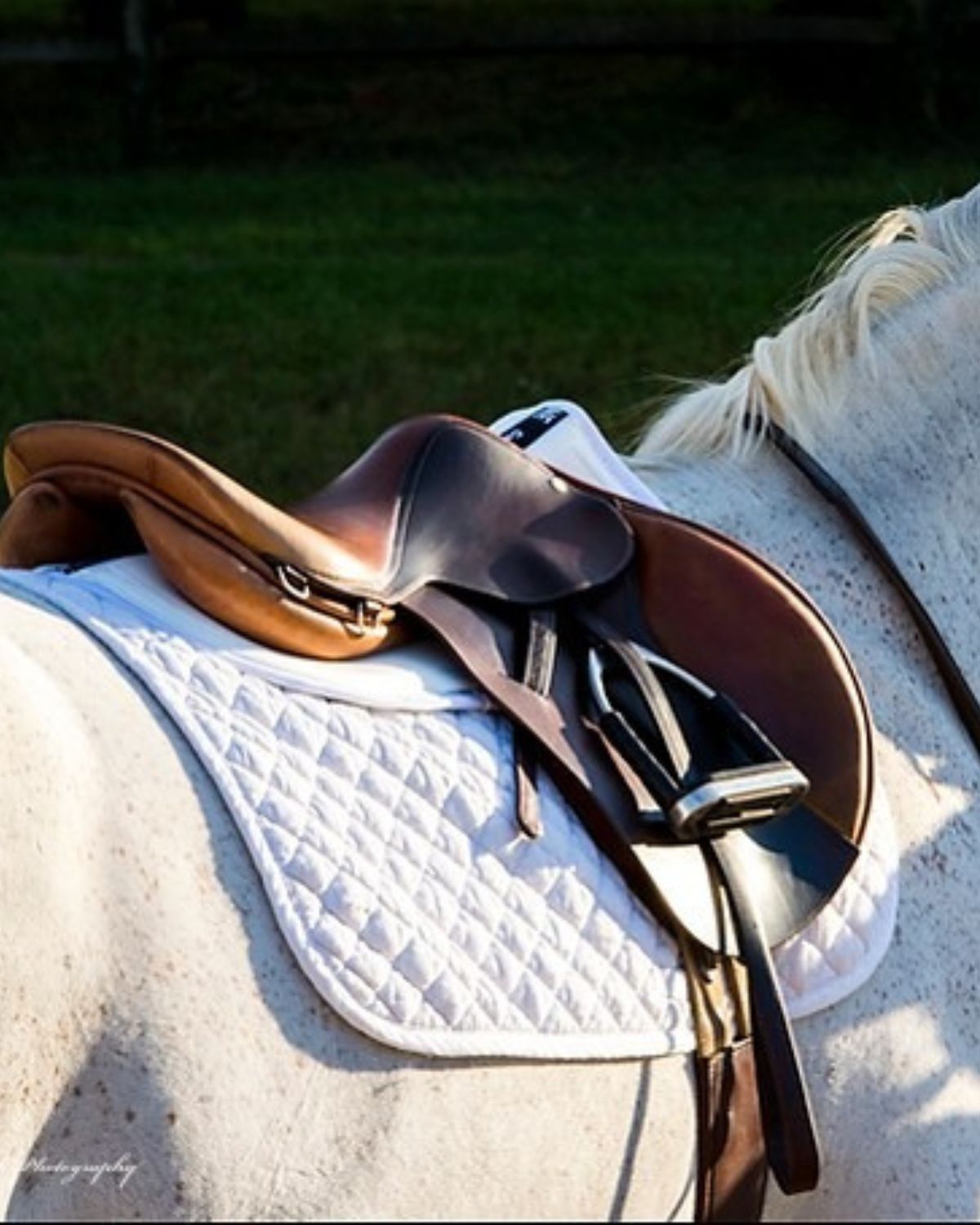 ThinLine Trifecta Cotton Half Pad White