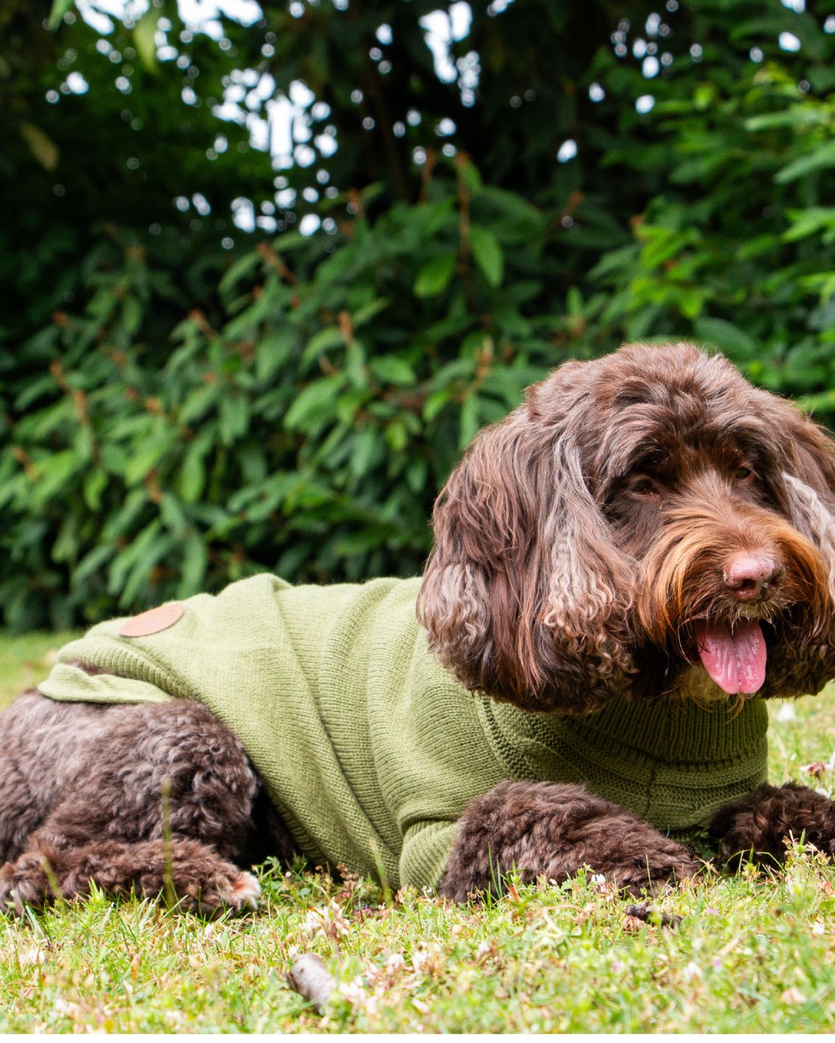 Ancol Cable Knit Jumper Green Dog Coat