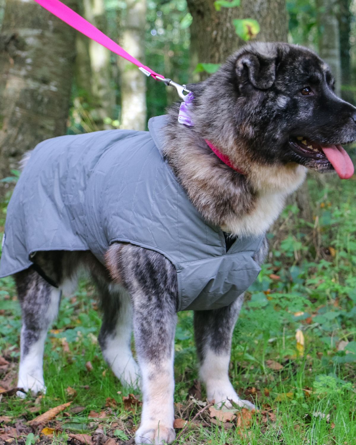 Ancol Ultimate Reflective Dog Coat