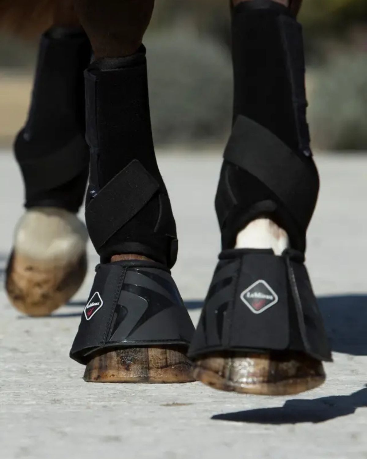 LeMieux ProShell Over Reach Boots Black