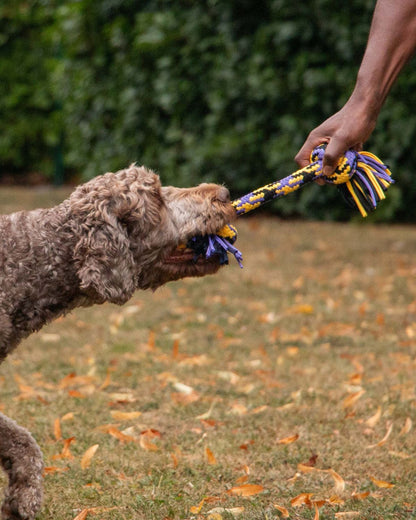 Ancol Tricolored T-Shirt Rope Tug Dog Toy