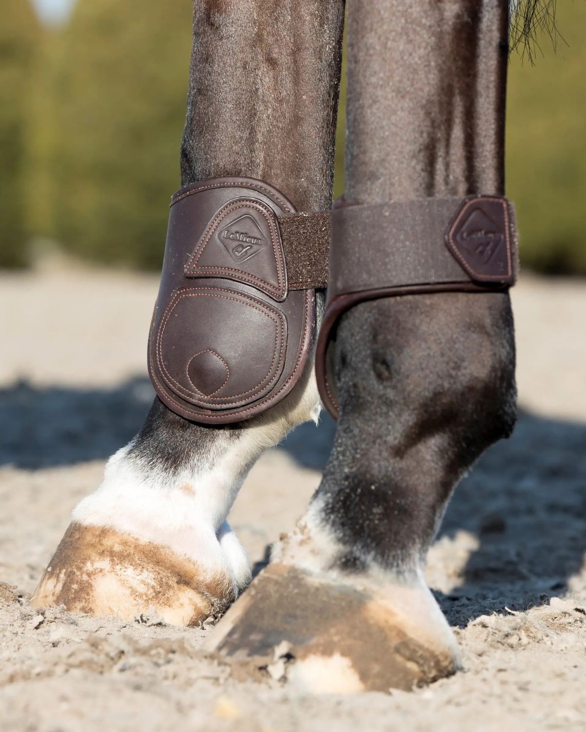 LeMieux Capella Fetlock Boots Brown