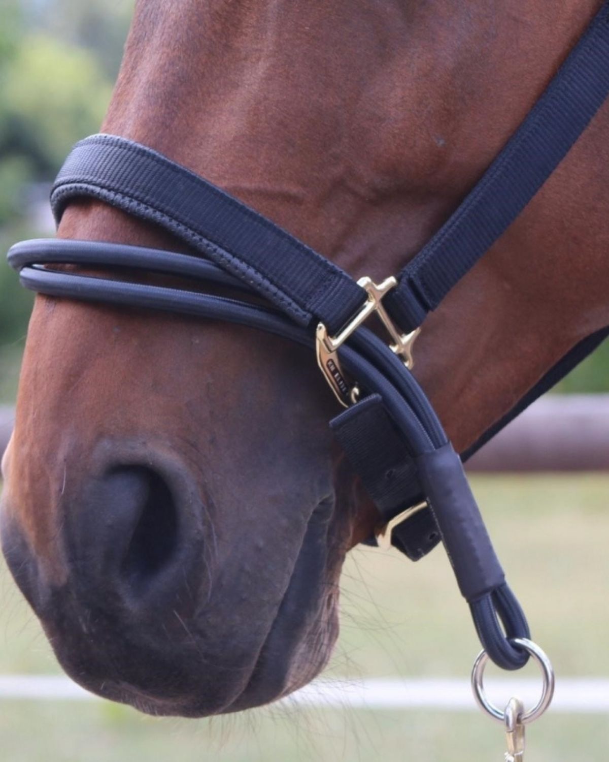 KM Elite Ezyloader Headcollar Adaptor