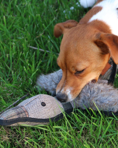 Ancol Heritage Tweed Duck Dog Toy