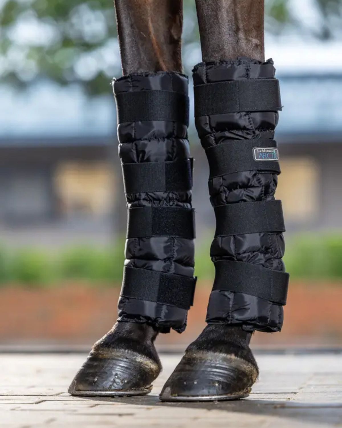 LeMieux Arctic Ice Boots for Horses - Equine Leg Cooling Therapy - Black Pair