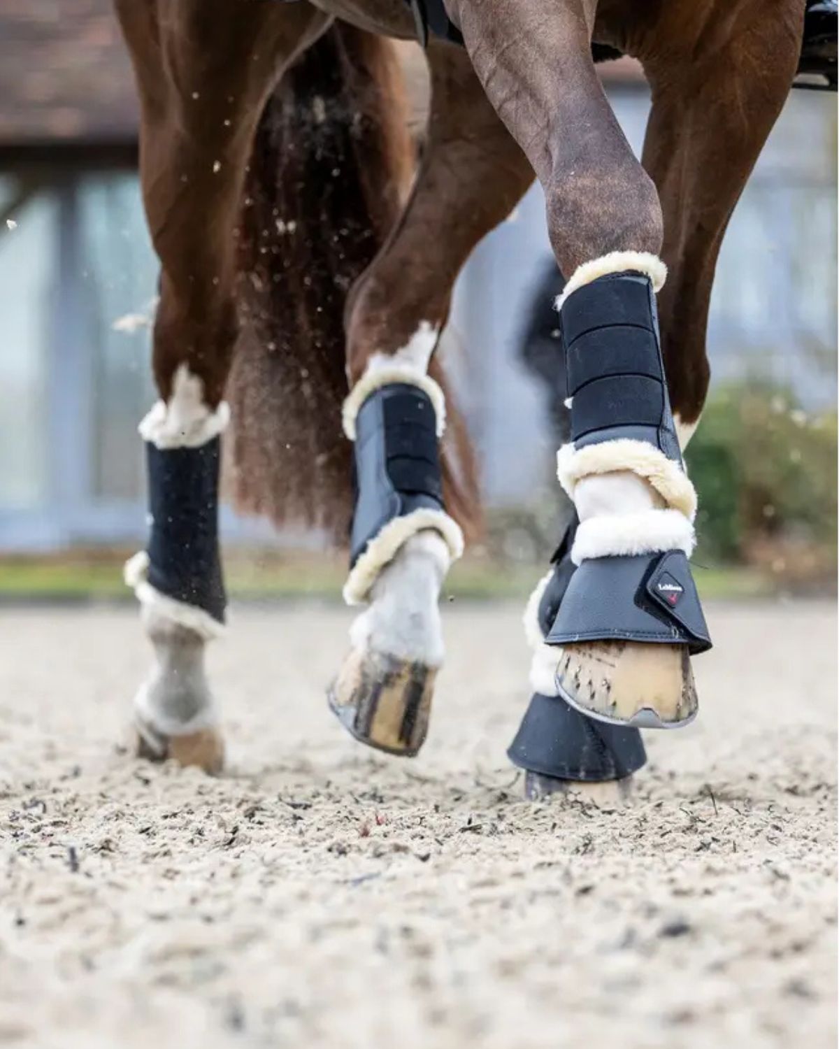 LeMieux Fleece Lined Brushing Boots Black/Natural