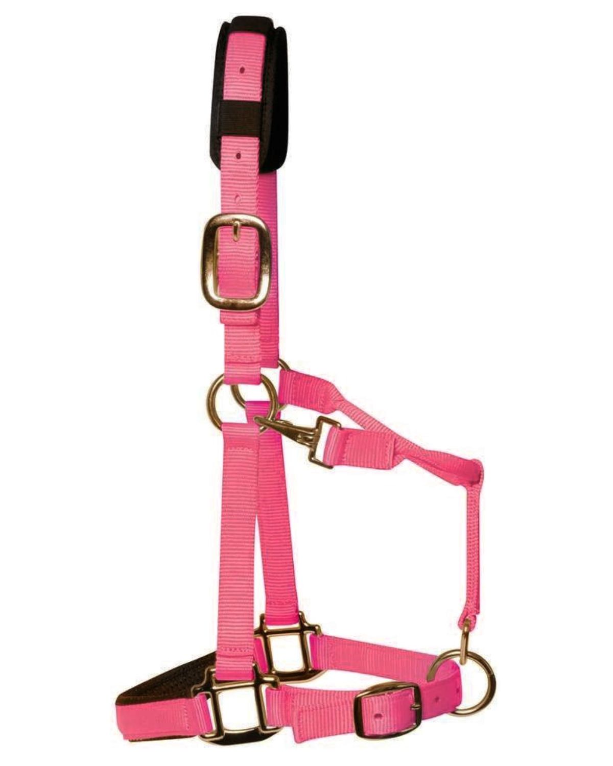 KM Elite Padded Headcollar Pink