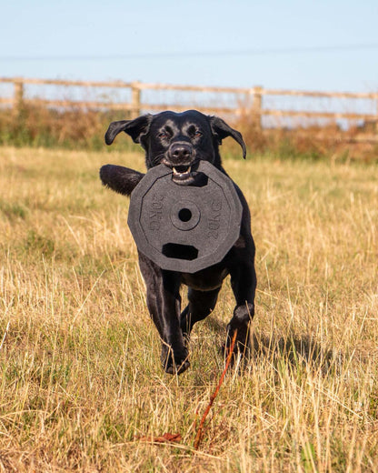 Ancol Tough Super Barbell Plate Dog Toy