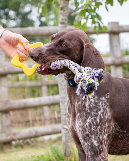 Ancol Playtime Ropey Star Dog Toy