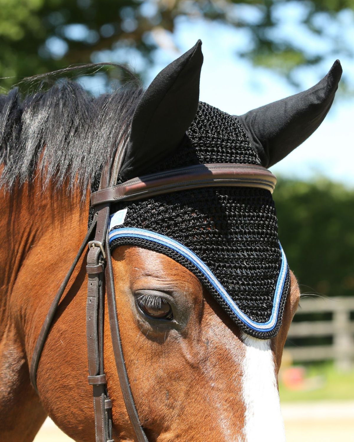 Horse wearing KM Elite Fly Veil (Black/Electric Blue Trim) by Equiflair. Stylish & comfortable protection from flies for horses.
