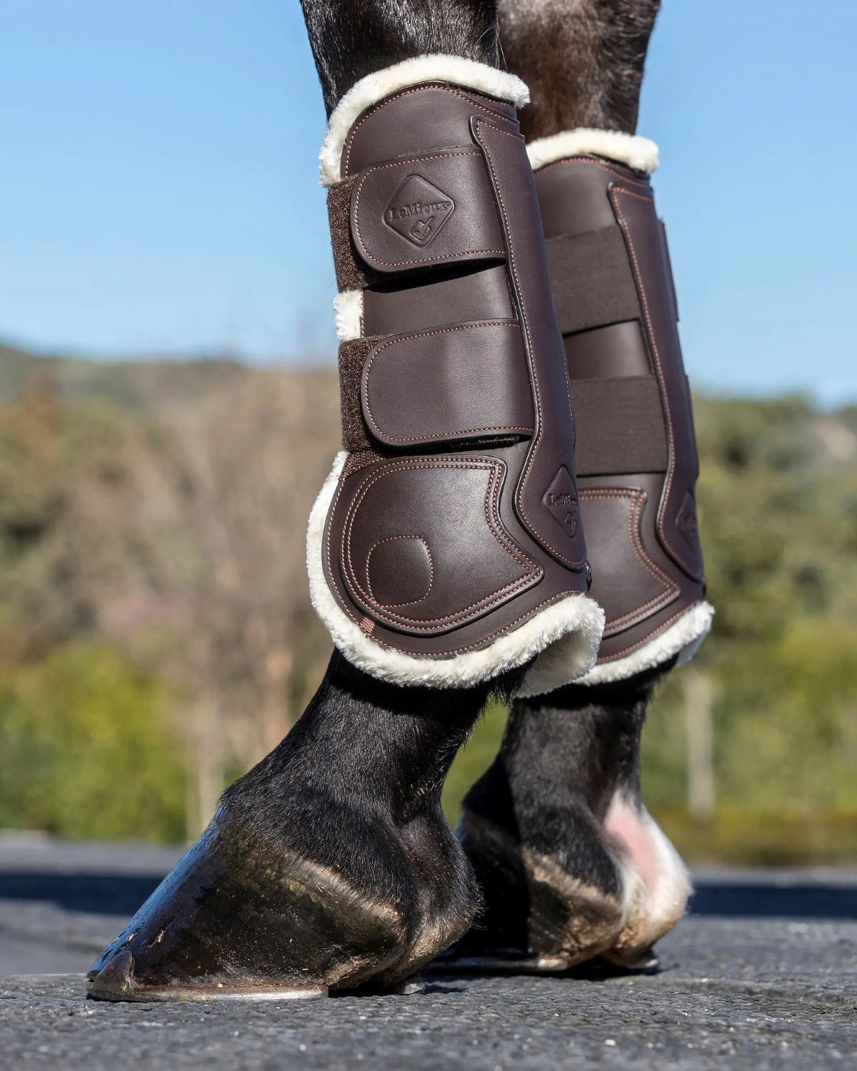 LEMIEUX Capella Comfort Leather Tendon Boots Brown Equestrian Leg Protection Horse Riding Equipment Equiflair