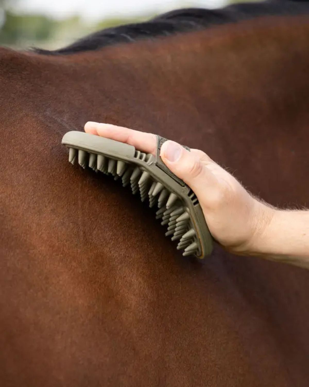 LeMieux Flexi Massage Brush Alpine in use on a horse. Horse grooming, massage brush. 