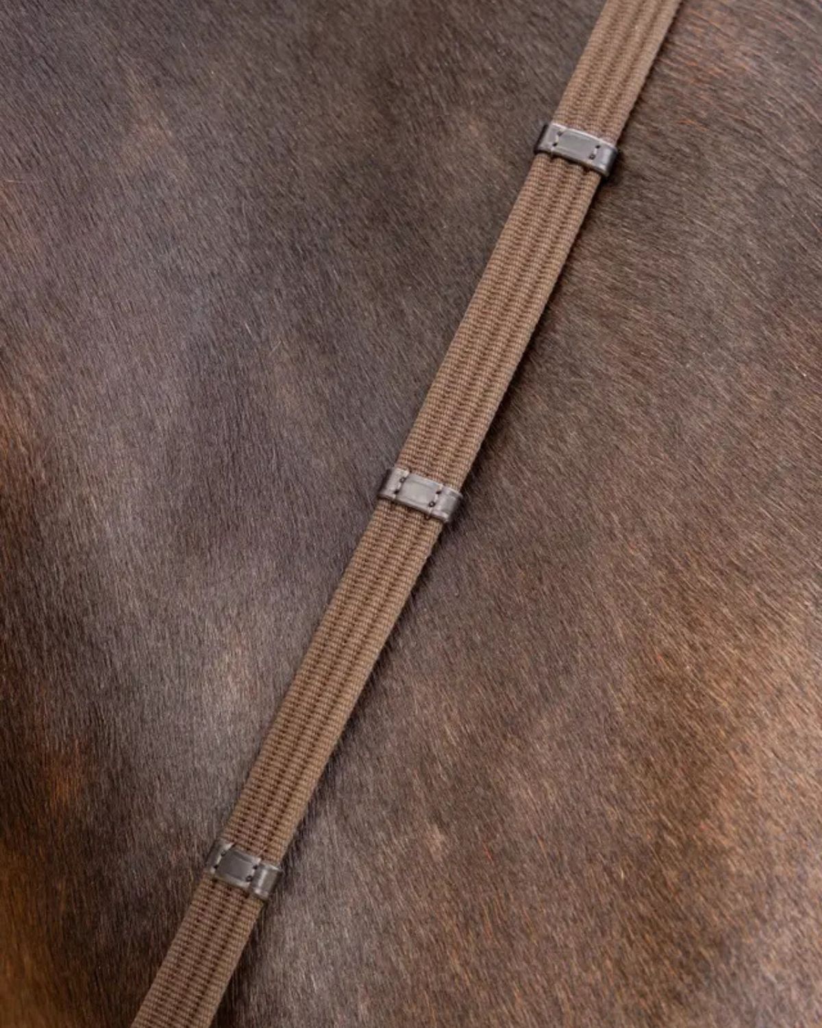 LeMieux Webbed Continenal Reins Brown/ Silver