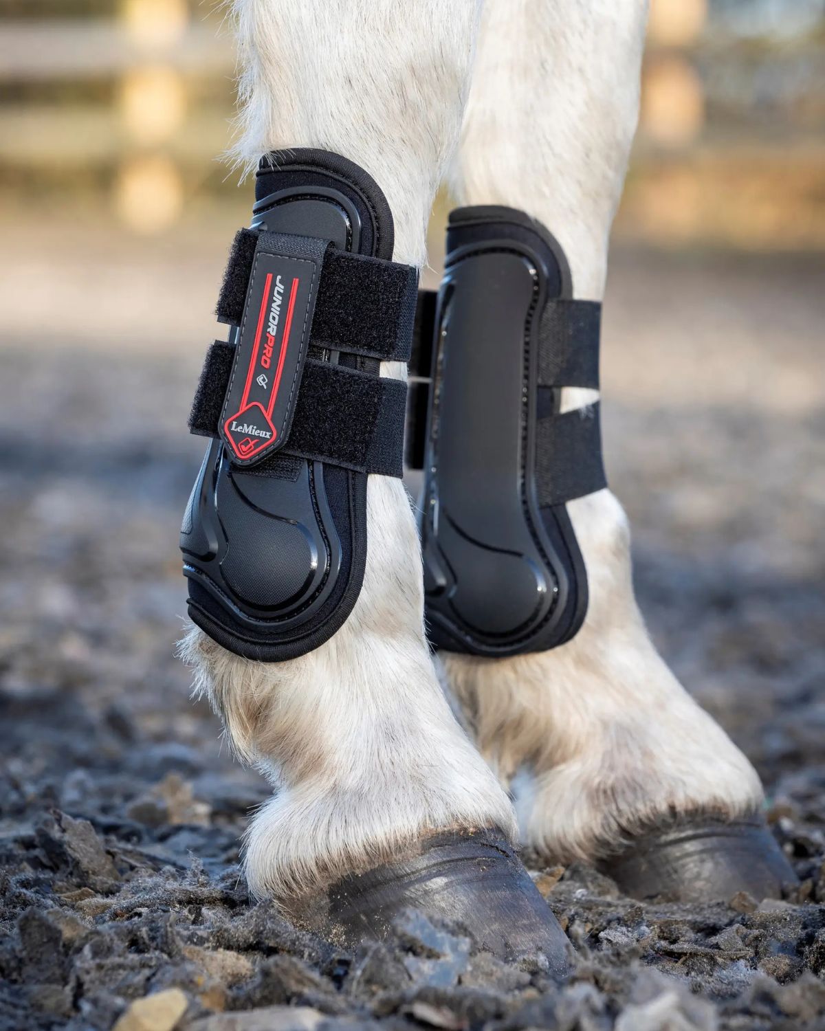 LeMieux Junior Pro Tendon Boots Black: Lightweight, protective horse boots for young riders & ponies - available at Equiflair