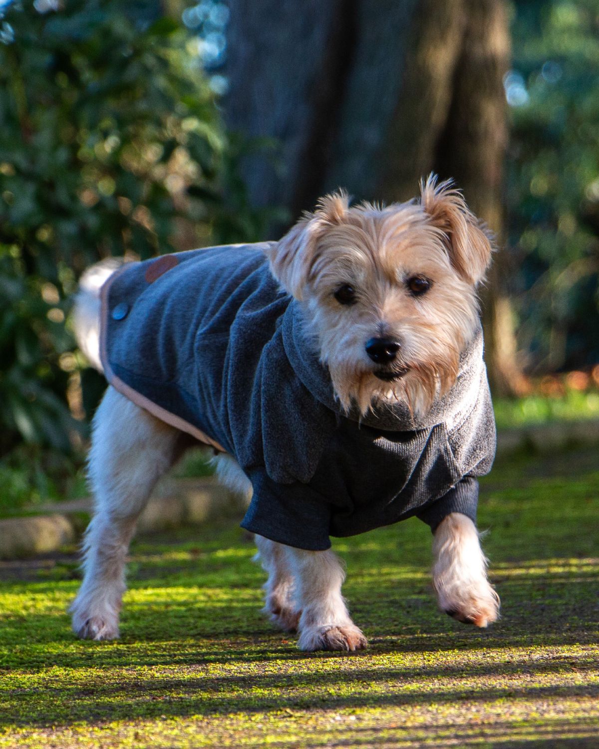 Ancol Polar Fleece Grey Dog Coat