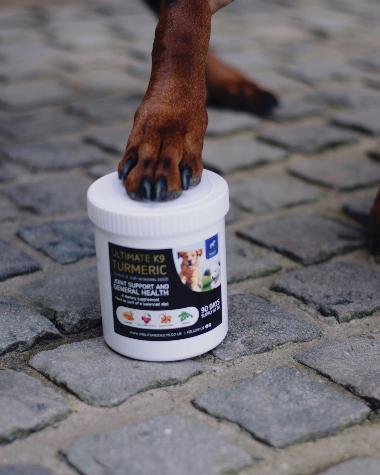 KM Elite Ultimate K9 Turmeric - Dog Supplements location-109746323830-outofstock location-31143526467-outofstock 450g