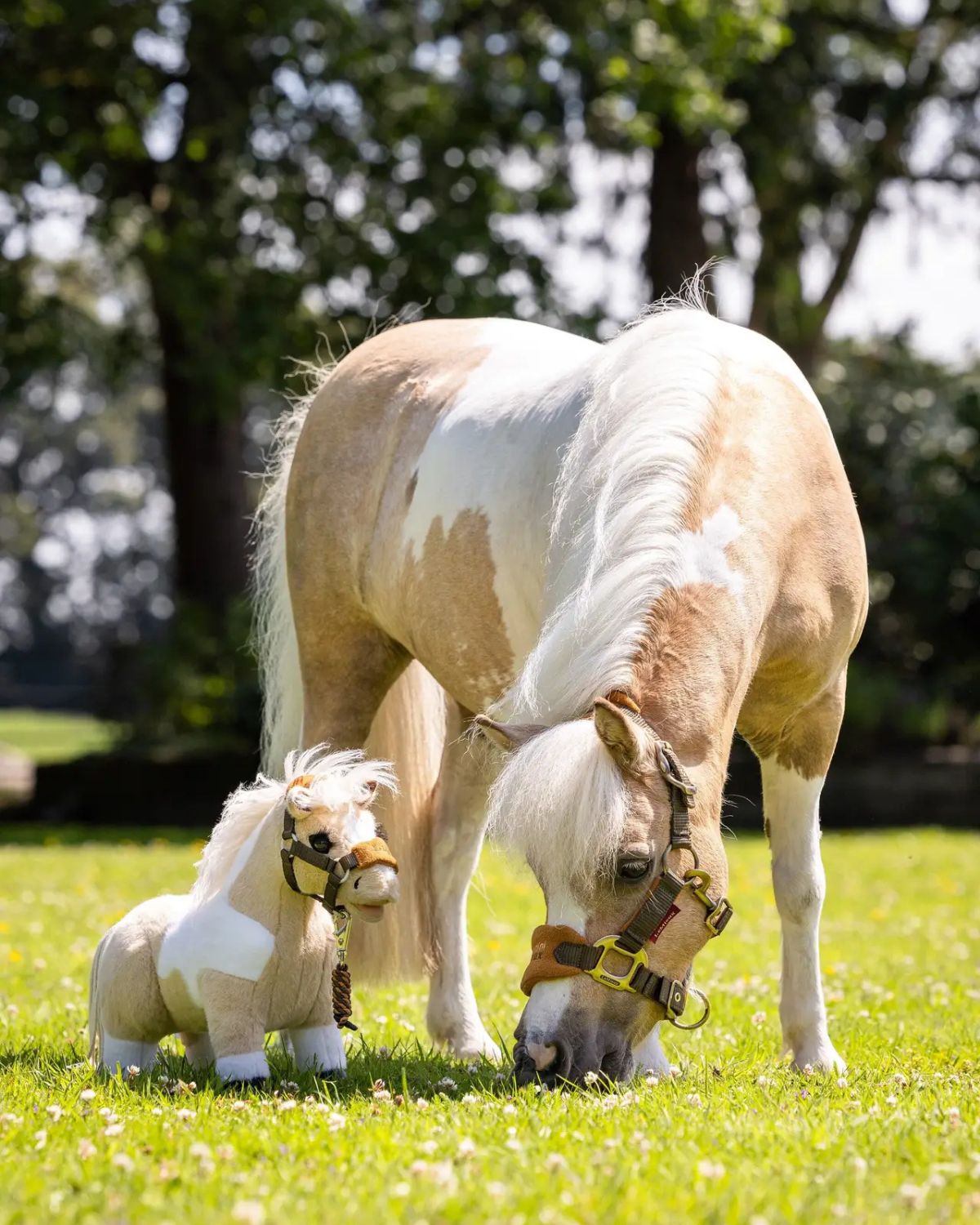 LeMieux Toy Pony Lemon with Real Palomino Horse - Equiflair. Plush Horse Toy supporting World Horse Welfare.
