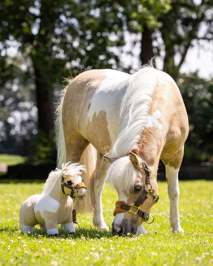 LeMieux Toy Pony Lemon with Real Palomino Horse - Equiflair. Plush Horse Toy supporting World Horse Welfare.